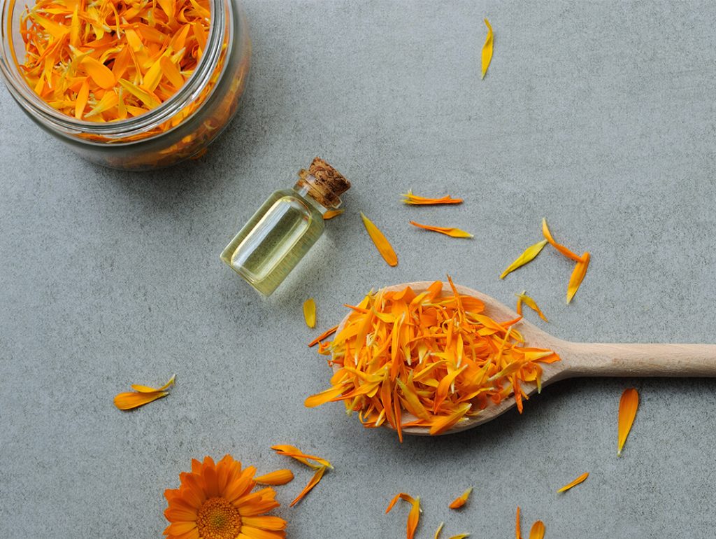 calendula for topical steriod withdrawal