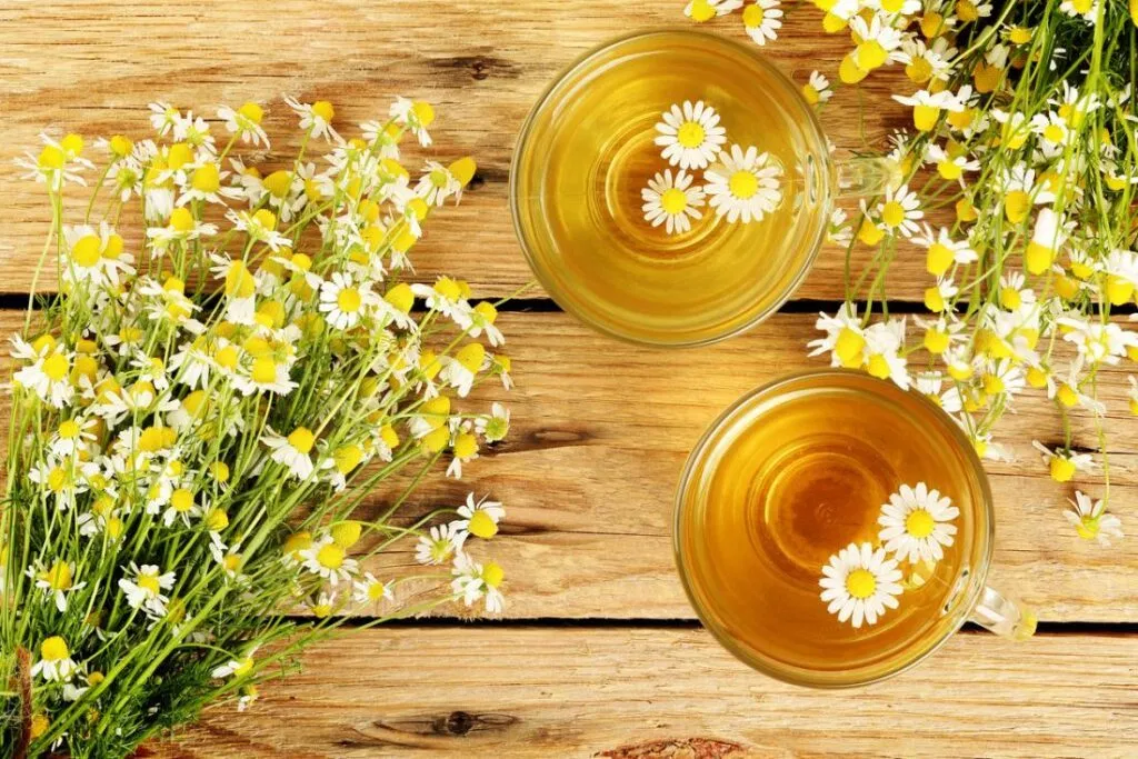 chamomile for topical steriod withdrawal